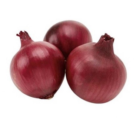 Cipolla rossa tonda Cipolla rossa