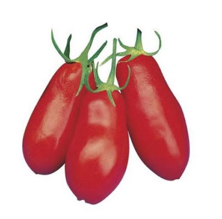 Pomodoro San Mazzeo Pomodori tipo SanMarzano