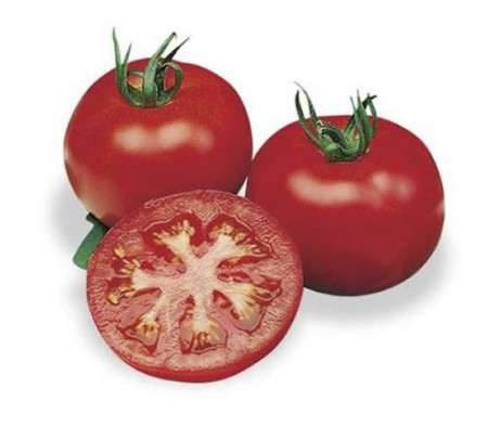 Pomodoro Tondo Pomodoro tondo liscio