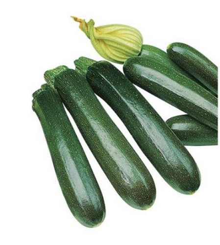 Zucchine Venere Zucchina Venere, Afrodite